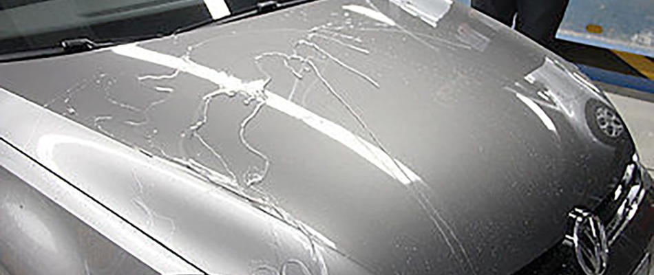 Sturm Fahrzeugpflege - 50,-€ Gutschein + Pflegeset