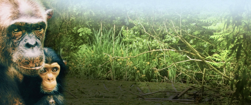 Schenken und den Leintalzoo unterstützen Geschenke aus dem Leintalzoo