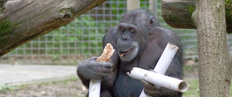 Faschingsferien im Leintalzoo