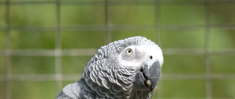 Dringend benötigte Futter- und Sachspenden