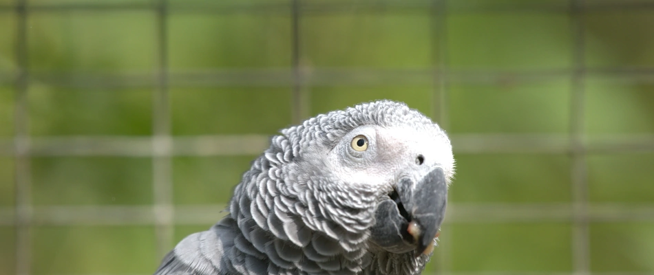 Wir brauchen Ihre Unterstützung Dringend benötigte Futter- und Sachspenden