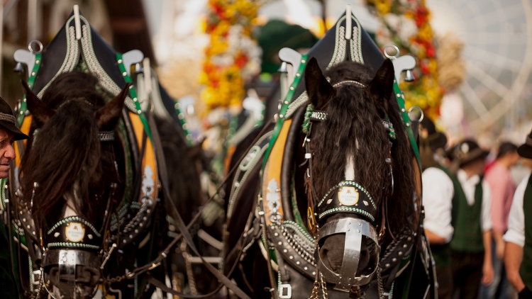 A+M Stadtportalkonzept UG aus Schwaigern