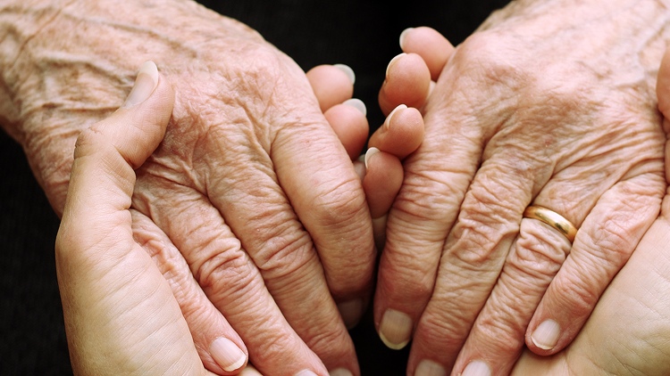 VELIZ-Pflege GmbH aus Massenbachhausen