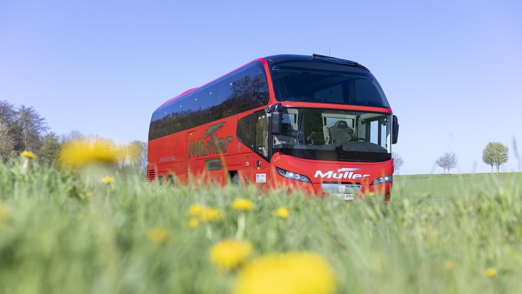 Müller Reisen aus Massenbachhausen