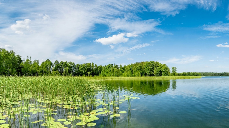Müller Reisen aus Massenbachhausen