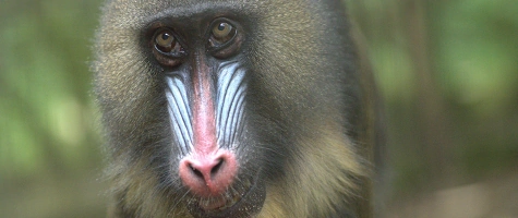 Erlebnisführung für Familien