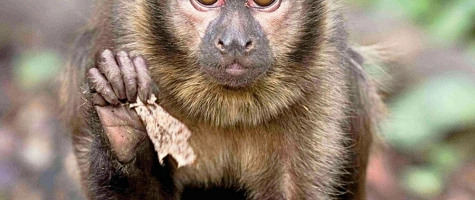 Tierisches Geburtstagsprogramm im Leintalzoo